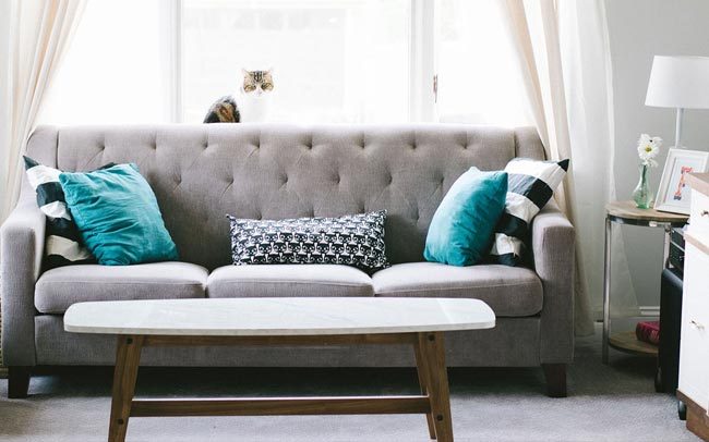 Hoowla Case Management Software